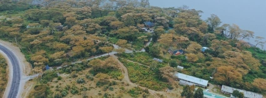 Aerial view of Elsamere Lodge beside Lake Naivasha, with buildings scattered among yellow acacia trees along the shore and a road on the left